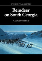 Reindeer On South Georgia