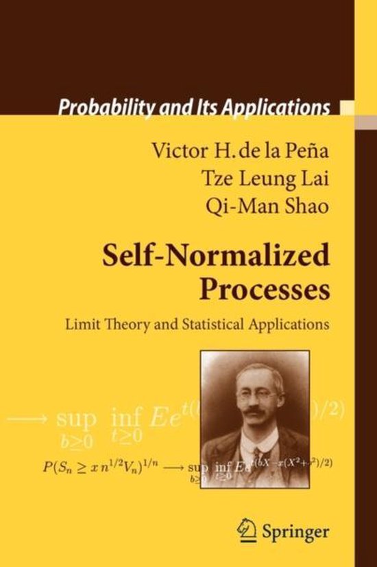 Self-Normalized Processes