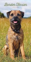 Border Terriers Slim Agenda 2019