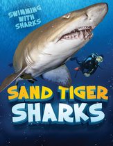 Swimming with Sharks - Sand Tiger Sharks