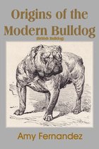 Origins of the Modern Bulldog