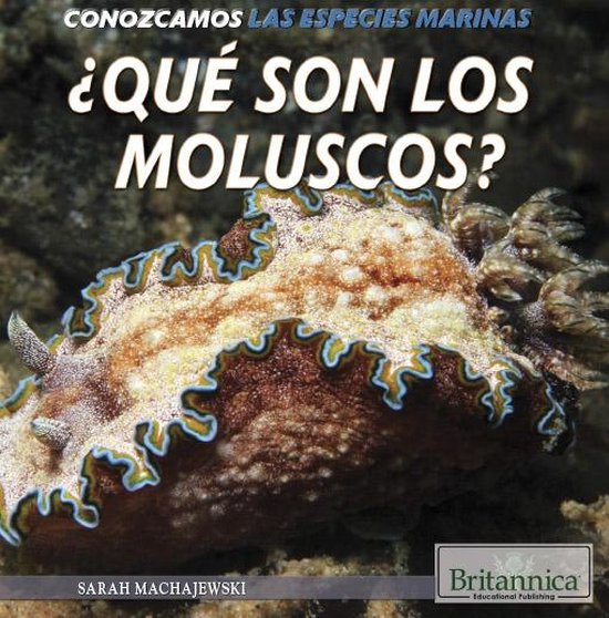 Conozcamos las especies marinas(Let's Find Out! Marine Life SPANISH) - ¿Qué son los moluscos? (What Are Mollusks?)