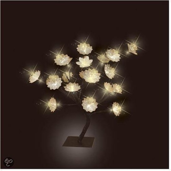 luca lighting boom l12b12h35 f.o. b/o led warm