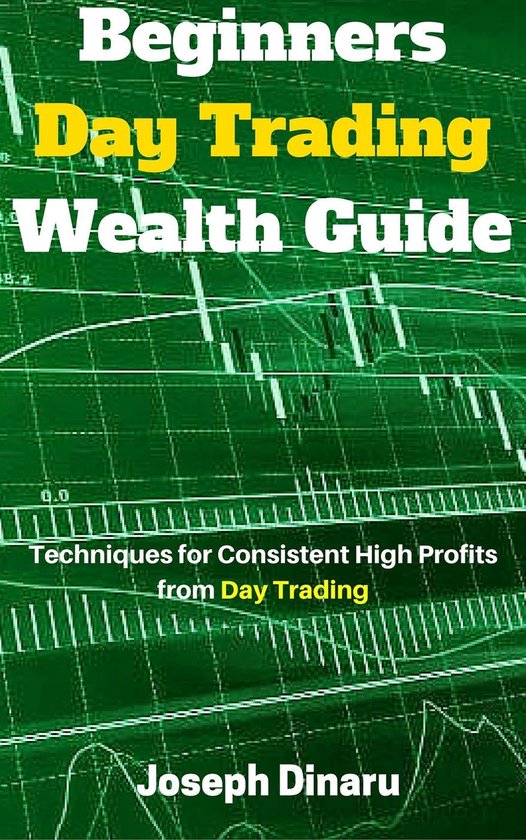 Beginners Day Trading Wealth Guide - cover