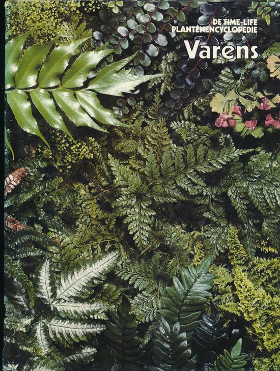 Boek | Varens