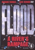 A Rivers Rampage - Flood