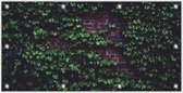 Tuinposter Planten Muur 200x100cm- Foto op Tuinposter (wanddecoratie voor buiten en binnen)