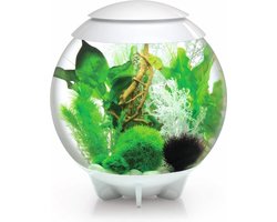 BiOrb HALO 30 Moonlight LED - Aquarium - Wit