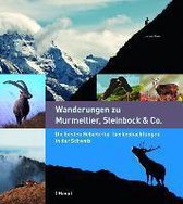 Wanderungen zu Murmeltier, Steinbock & Co.