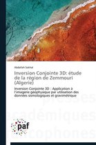 Inversion Conjointe 3D