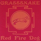 Red Fire Dog