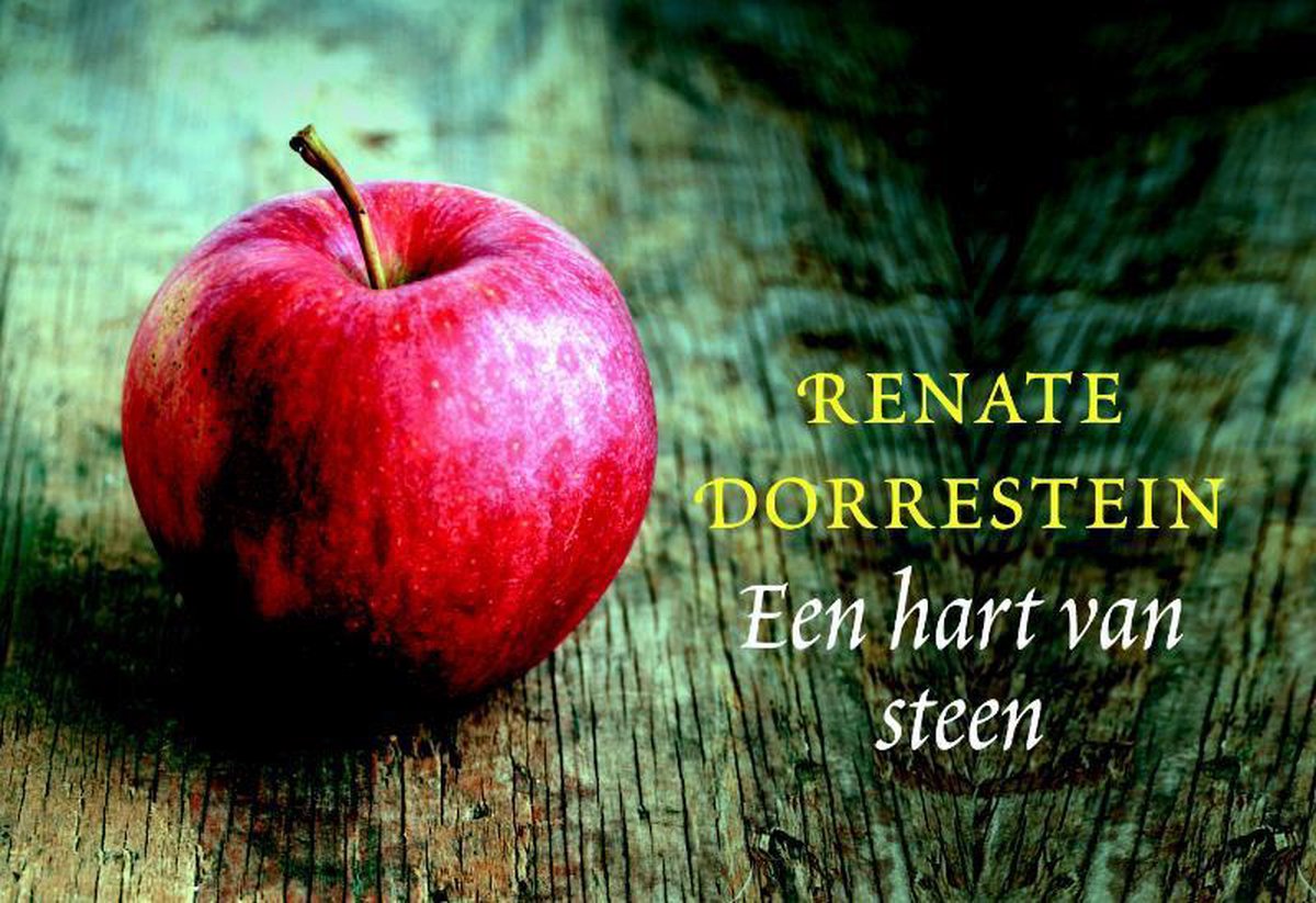 bol.com | Een hart van steen, Renate Dorrestein | 9789049801335 | Boeken