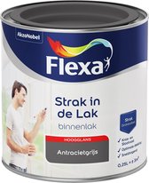 Flexa Strak in de Lak - Watergedragen - Hoogglans - antracietgrijs - 250 ml