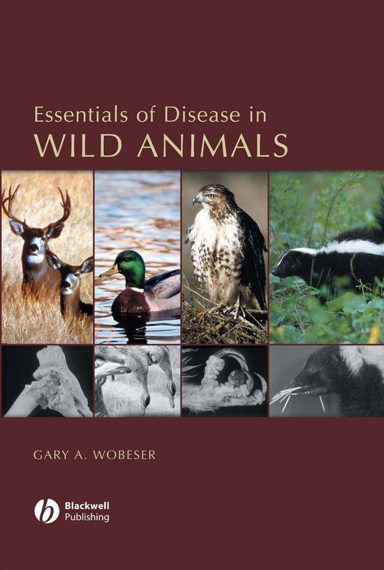 Essentials of Disease in Wild Animals - cover