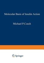 Molecular Basis of Insulin Action