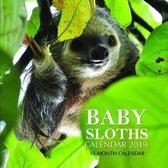 Baby Sloths Calendar 2019