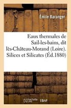 Sciences- Eaux Thermales de Sail-Les-Bains, Dit Lès-Château-Morand Loire. Silices Et Silicates. Études