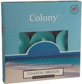 Wax Lyrical Colony 9 Tea Lights Coastal Breeze