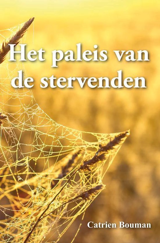 9789089545503 - Het paleis van de stervenden