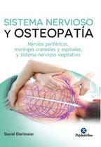 Osteopatía - Sistema nervioso y osteopatía