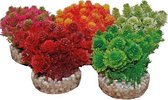 De Boon aquariumornament grass bush 8cm - per 2 stuks mix color