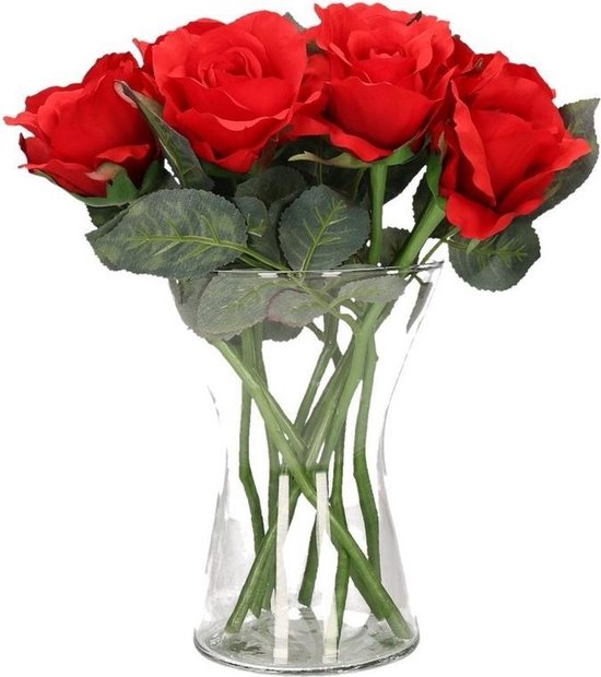 vlees Uitbreiding Tochi boom Valentijnscadeau 8 rode rozen in vaas | bol.com