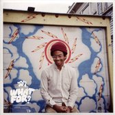 Toro Y Moi - What For? (CD)