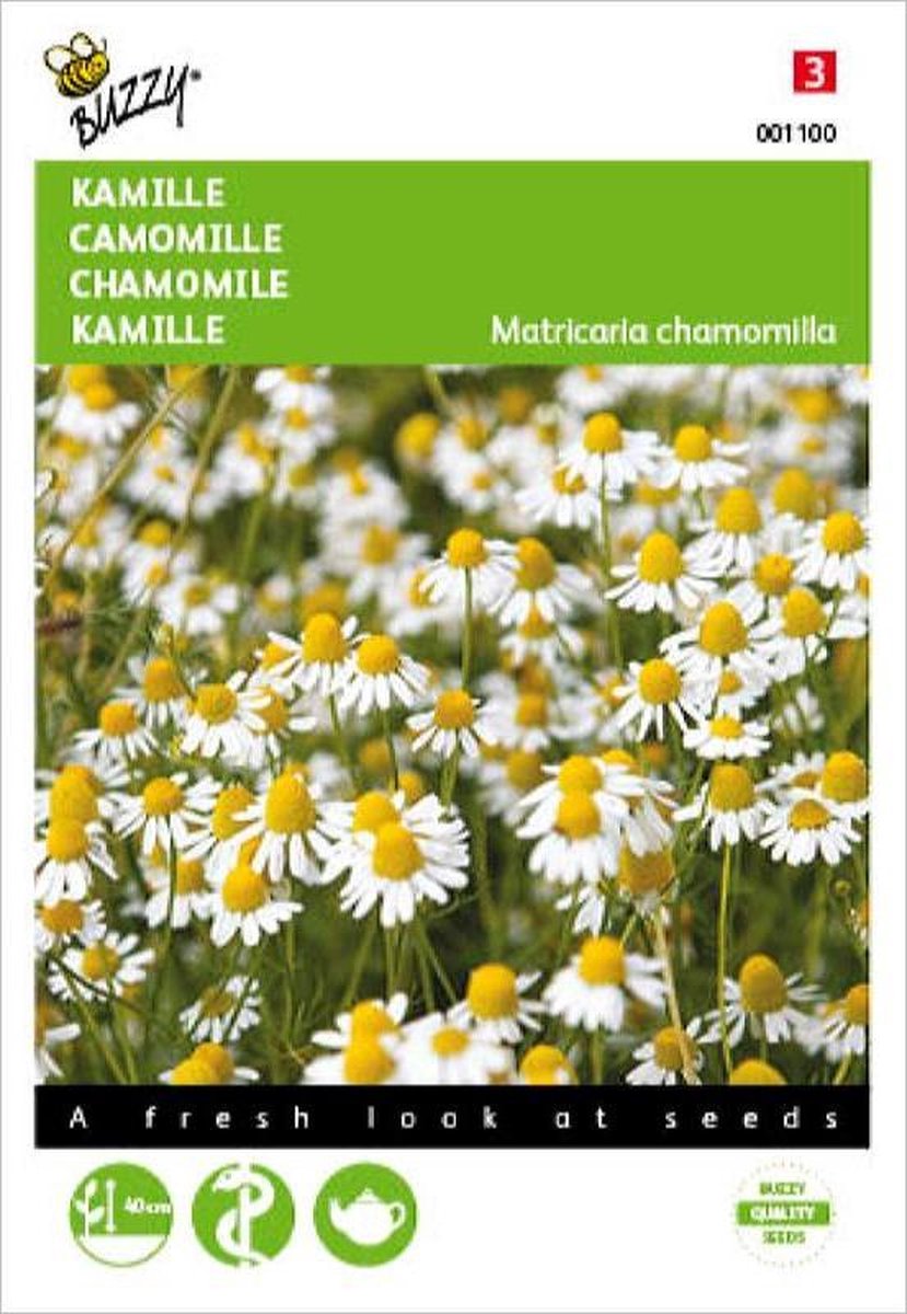 Buzzy zaden - Kamille - Matricaria chamomilla - Buzzy Seeds