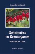 Geheimnisse im Kräutergarten