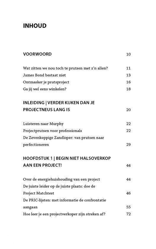 Het perfecte project