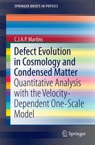 SpringerBriefs in Physics - Defect Evolution in Cosmology and Condensed Matter