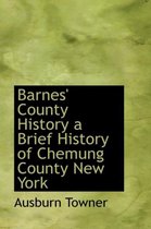 Barnes' County History a Brief History of Chemung County New York