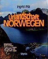 Urlandschaft Norwegen