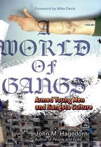 Globalization and Community 14 - A World of Gangs