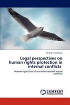 Legal perspectives on human rights protection in internal conflicts