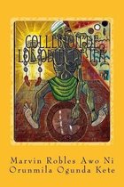 Collecion de Los Odun de Ifa
