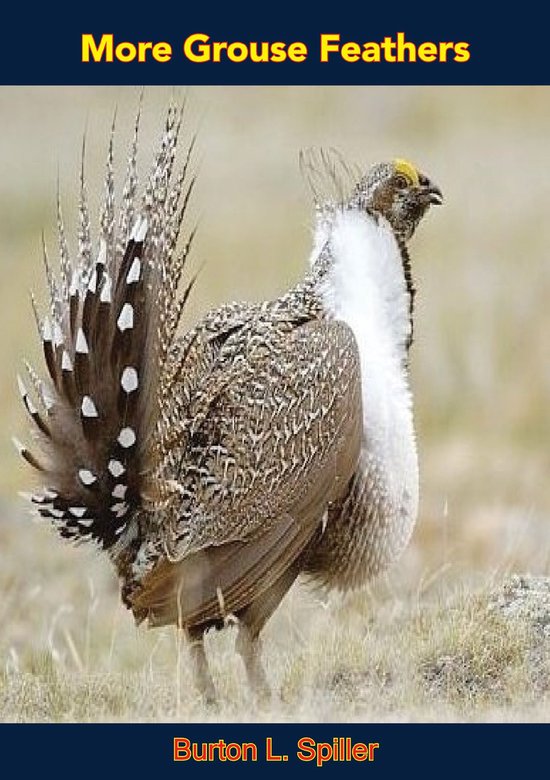 More Grouse Feathers - cover