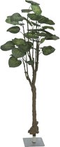Europalms kunstplant in pot voor binnen - Pothos-boom - 175 cm