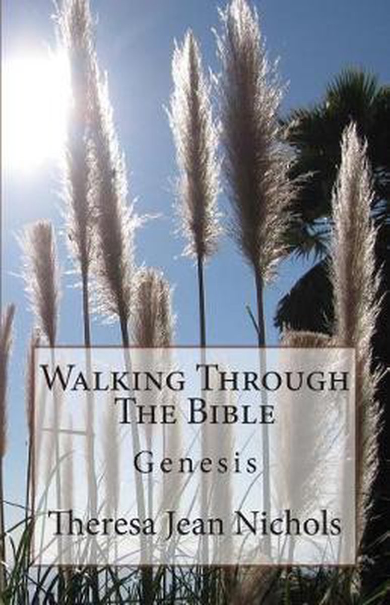 Walking Through The Bible van Theresa Jean Nichols
