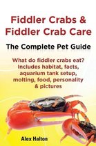 Fiddler Crabs & Fiddler Crab Care. Complete Pet Guide. What do fiddler crabs eat? Includes habitat, facts, aquarium tank setup, molting, food, personality & pictures