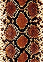 Snake Skin Style Composition Book