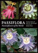 Passiflora