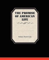 The Promise Of American Life