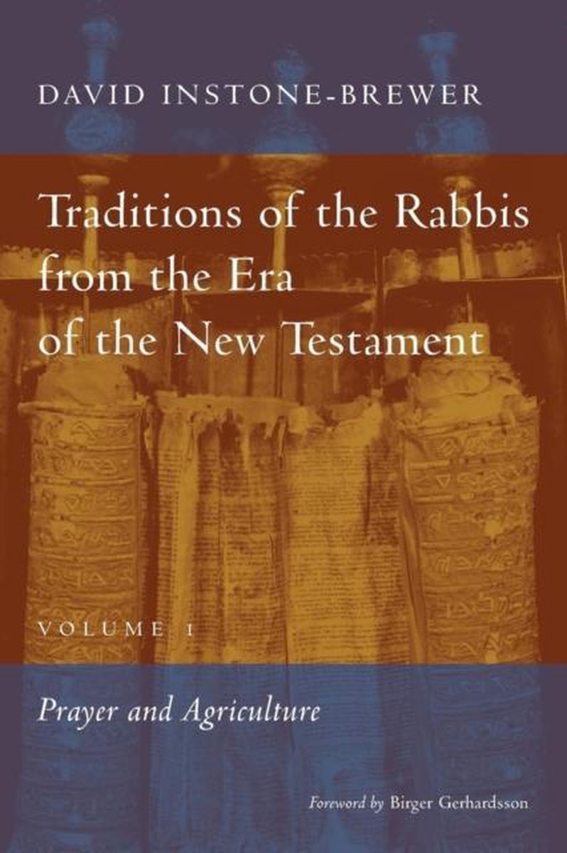 Traditions of the Rabbis from the Era of the New Testament, volume 1 - David Instone-Brewer