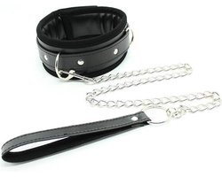 Collar met hondenketting