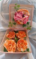 Beeld Mandjes Pioen rozen set van 5 stuks Perzik