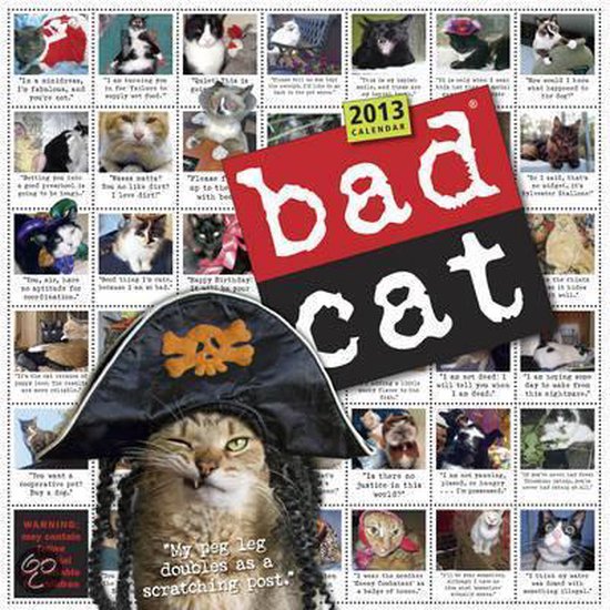 Bad Cat Wall Calendar 2013, Workman Publishing 9780761166986 Boeken
