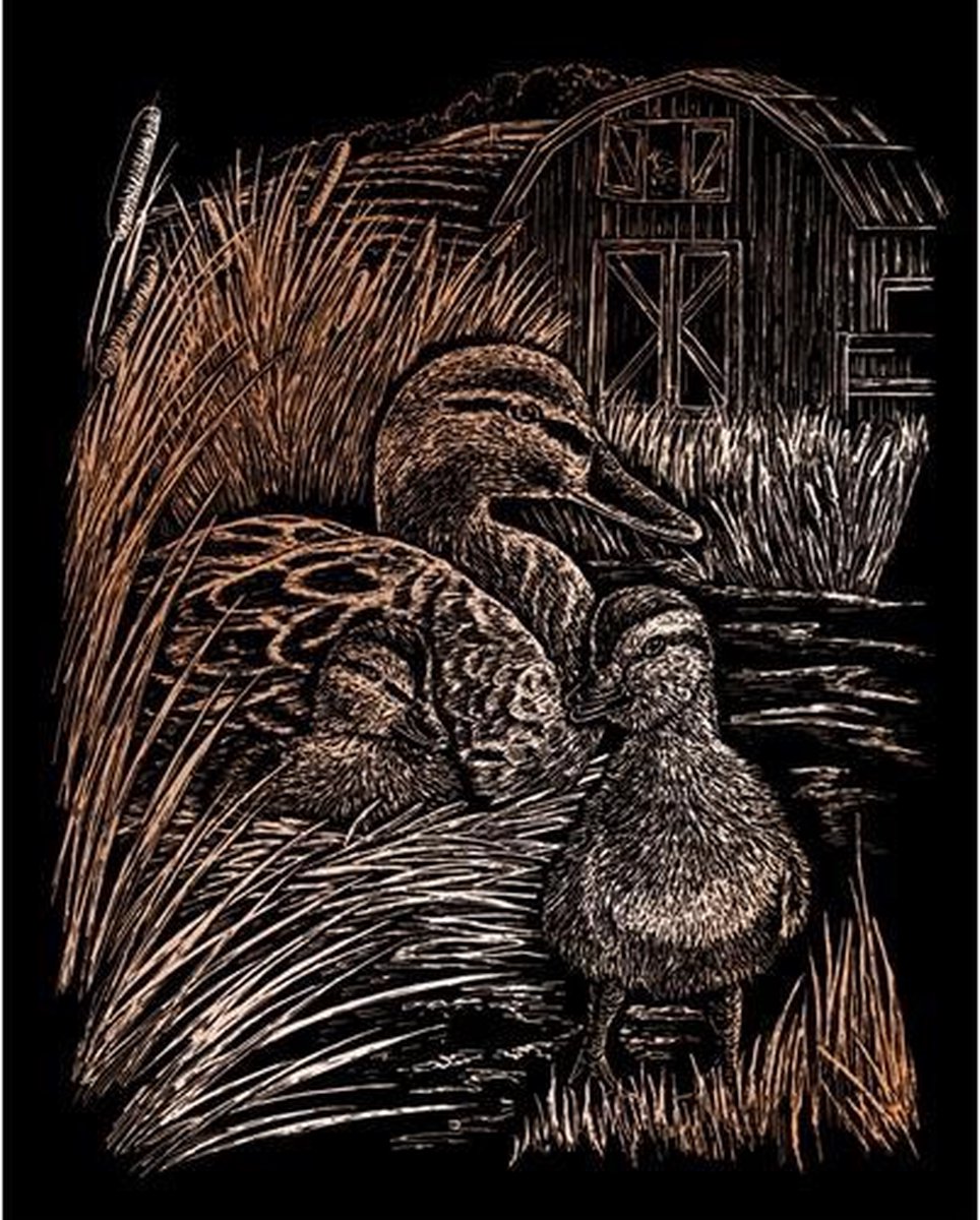 Kraskaart 20,3x25,4cm koper Eenden