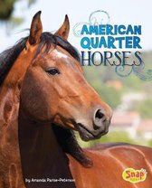 American Quarter Horses (Horse Breeds)