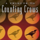 Guitar Tribute to Counting Crows